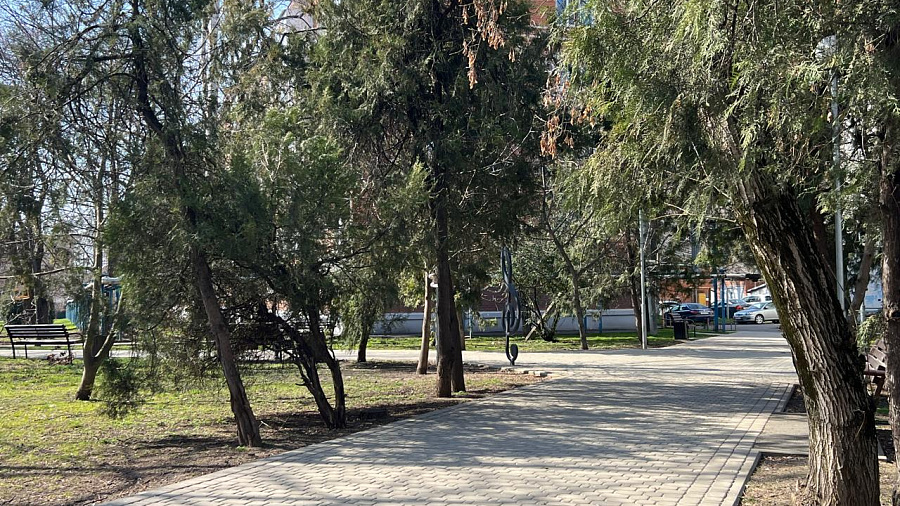 В Краснодаре и крае в середине недели прогнозируют переменчивую погоду: от ночных туманов до +16°С днём