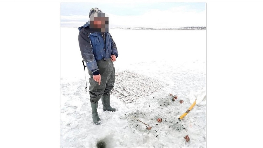 Рыбаку грозит тюрьма за ловлю тарани сетью в Краснодарском крае