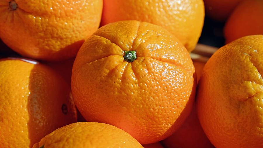 В Новороссийске задержали более 100 тонн зараженных апельсинов из Египта