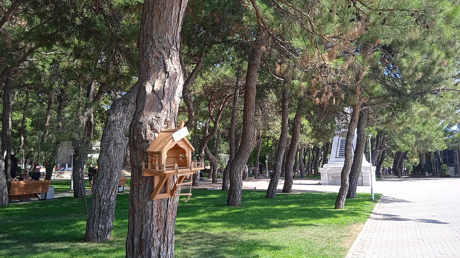 В Геленджике, а также на курортах Кубани 15 ноября установится малооблачная погода с комфортной температурой при умеренном ветре