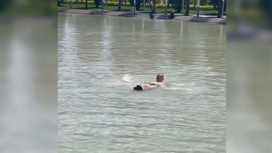 «Возвращайся в свой Екатеринбург!»: пользователи соцсетей резко осудили мужчину, «нырнувшего» в водоем в парке «Краснодар»