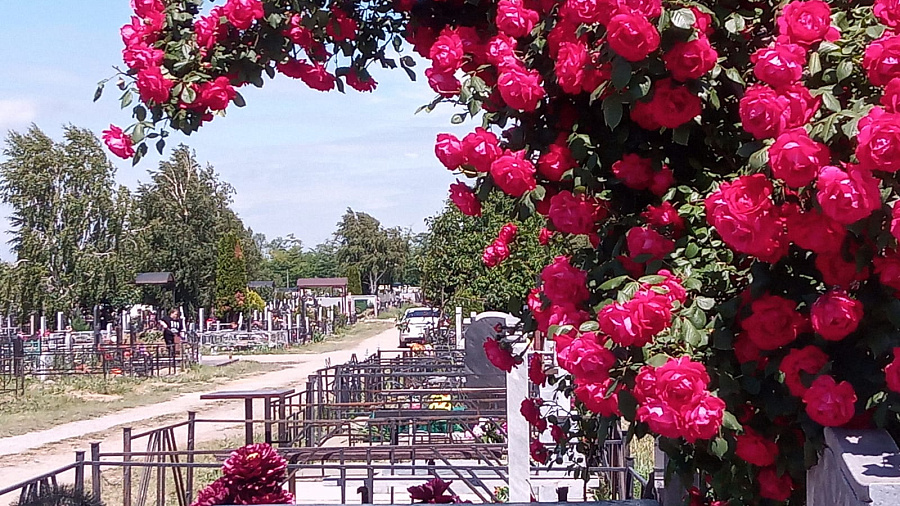 В Краснодарском крае Радоницу сделали выходным днем