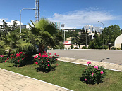 В Сочи, Геленджике, Анапе, а также на курортах Кубани в выходные дни погода сохранит аномально жаркий режим без дождей