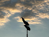 Магнитные бури 23 февраля: почему «чистое» Солнце не гарантирует спокойствия