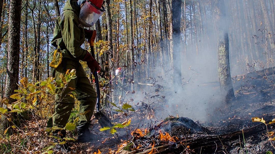 В Краснодарском крае ограничили доступ в леса