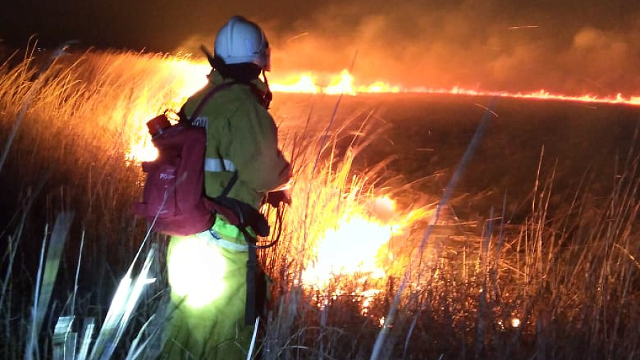 В Краснодарском крае всю ночь тушили крупный пожар в плавневой зоне Ахтанизовского лимана