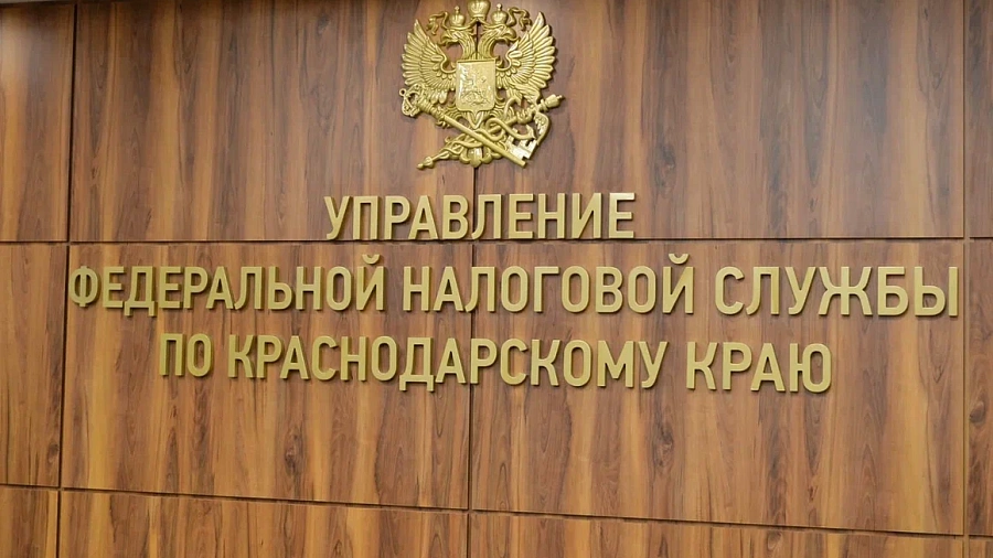 Жители Кубани подали рекордное число деклараций о доходах за 2024 год