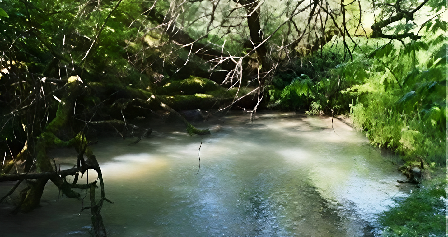 Заказник «Лабинский» вошел в особо охраняемые территории Кубани