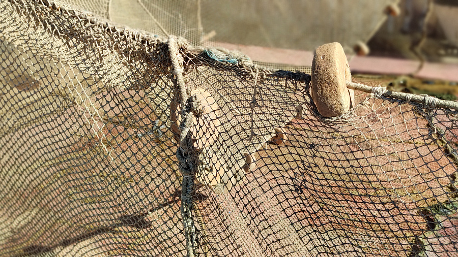 Двум жителям Краснодарского края грозит тюрьма за лов рыбы в лимане
