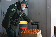 Водитель Lexus пытался вывезти 107 миллионов рублей в Абхазию из Сочи