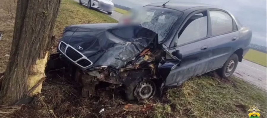 Водитель бросил умирать пассажира после удара Daewoo о дерево на Кубани
