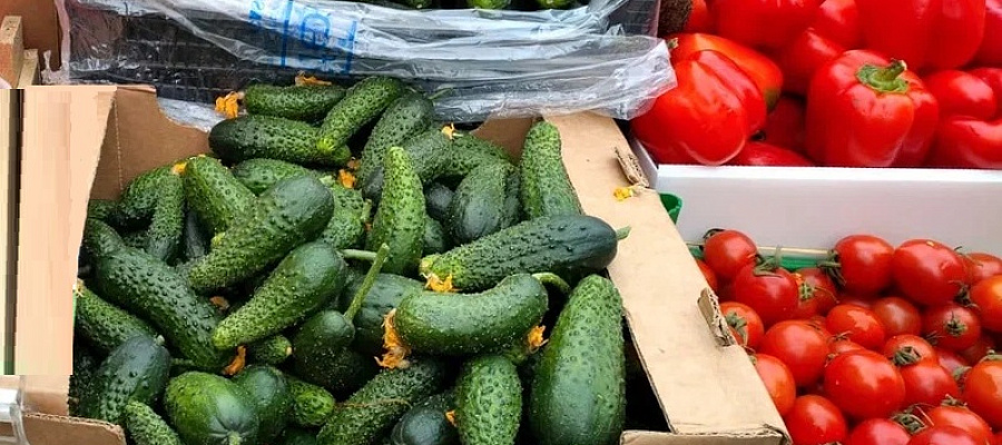 Краснодарский край лидирует в России по количеству ярмарок