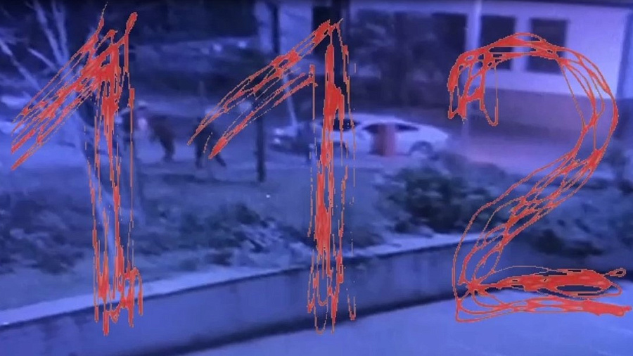 Появилось видео драки в Сочи, в которой погиб юморист Амиран Геворкян