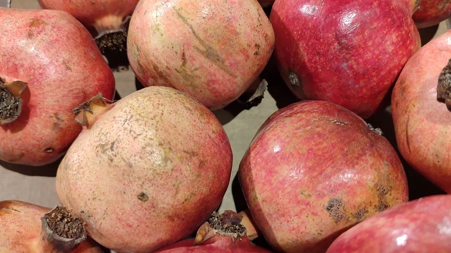 Ученые назвали зимний продукт за копейки от гипертонии и анемии