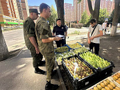 В Краснодаре началась жесткая борьба с уличной торговлей