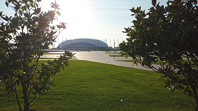 Дело не в деньгах: туристы рассказали, почему не стали бы переезжать в Сочи на ПМЖ