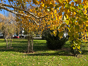 Краснодар окутал вредный смог — сероводород и пыль превысили норму