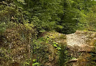 В гостиничном комплексе в Сочи, где отравились юные спортсмены, нашли нарушения 