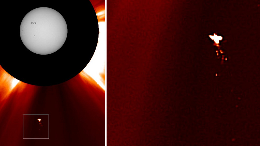 Неизвестную птицу ученые заметили рядом с Солнцем 