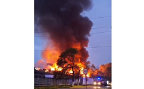 На Кубани сняли на видео зрелищную мурмурацию птиц