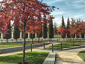 Дождь по заказу: на Кубани запускают технологию искусственных осадков