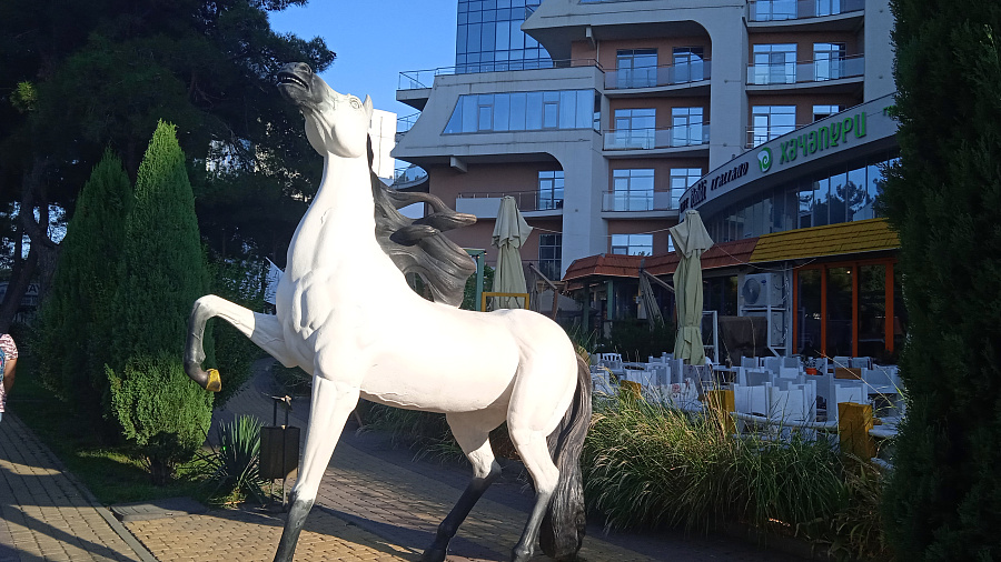 В Геленджике, а также на курортах Кубани 22 ноября погода удивит рекордным теплом: до +23°С с небольшой облачностью и слабым ветром