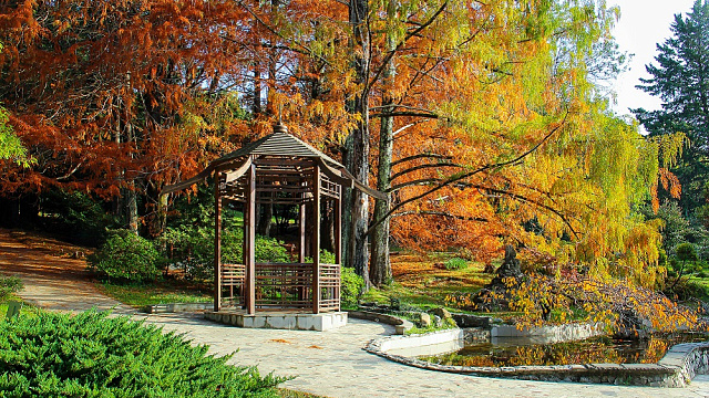 В Сочи пройдет вечер памяти драматурга и историка балета Сергея Худекова, создавшего парк «Дендрарий»