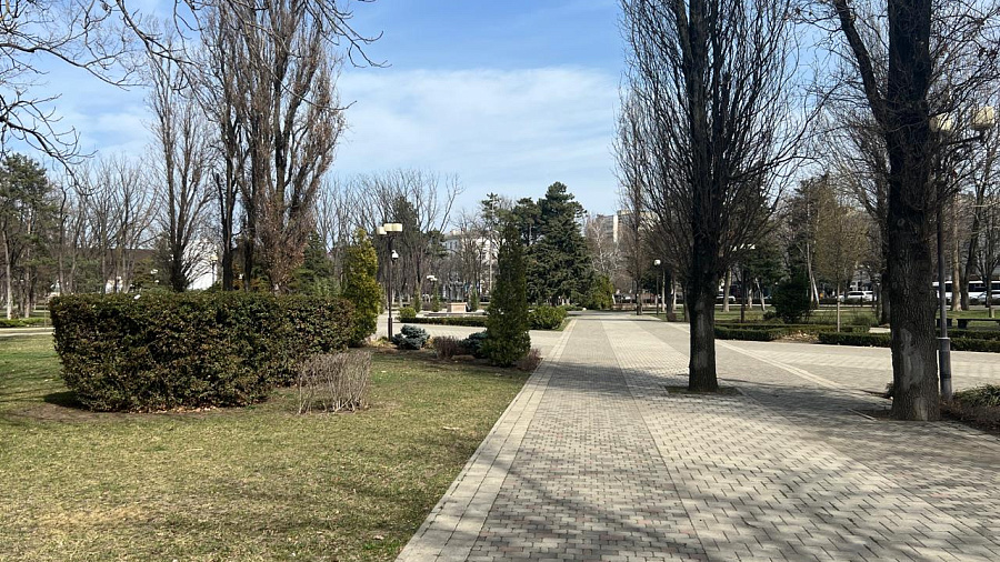 В Краснодаре и крае в субботу погода удивит контрастами: от ночного минуса и тумана до дневного тепла