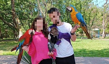 В Сочи аферист выманил у туристов 20 тысяч рублей за фото с попугаями