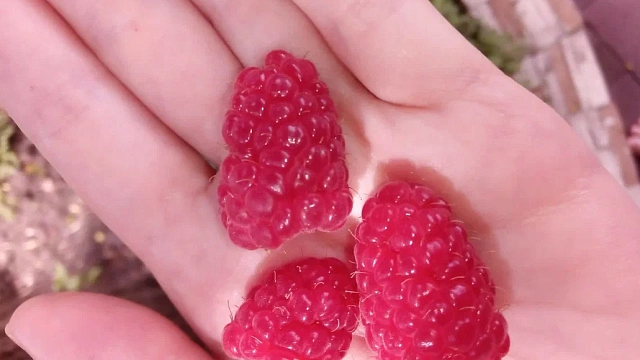 Названы продукты, сохраняющие молодость кожи лица вокруг глаз