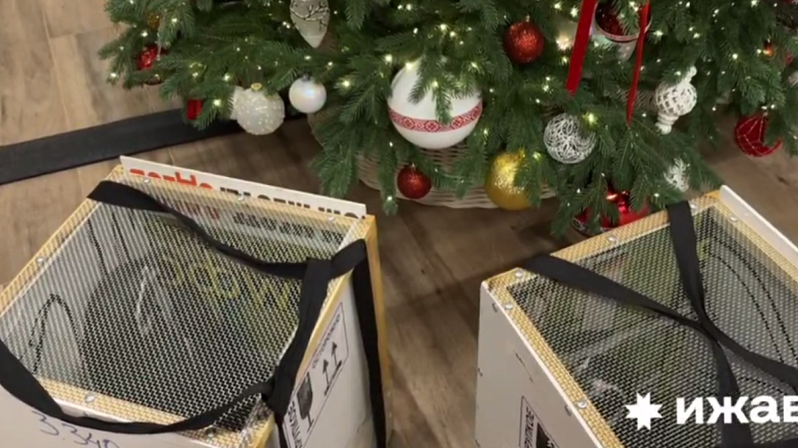 Двое пингвинов из Сочи стали ижевчанами 