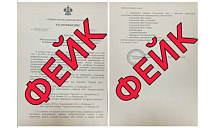Оперштаб Кубани опроверг фейк о введении карантина по бешенству на прибрежной зоне