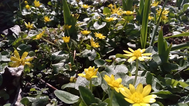 На Кубани побит температурный рекорд 1966 года на 1,6 градуса