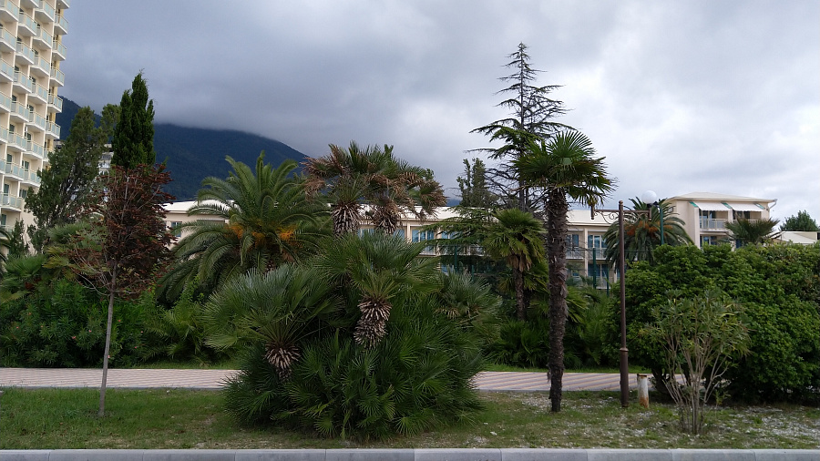 В Гагре и на курортах Абхазии в середине рабочей недели немного потеплеет, пройдут дожди с мокрым снегом