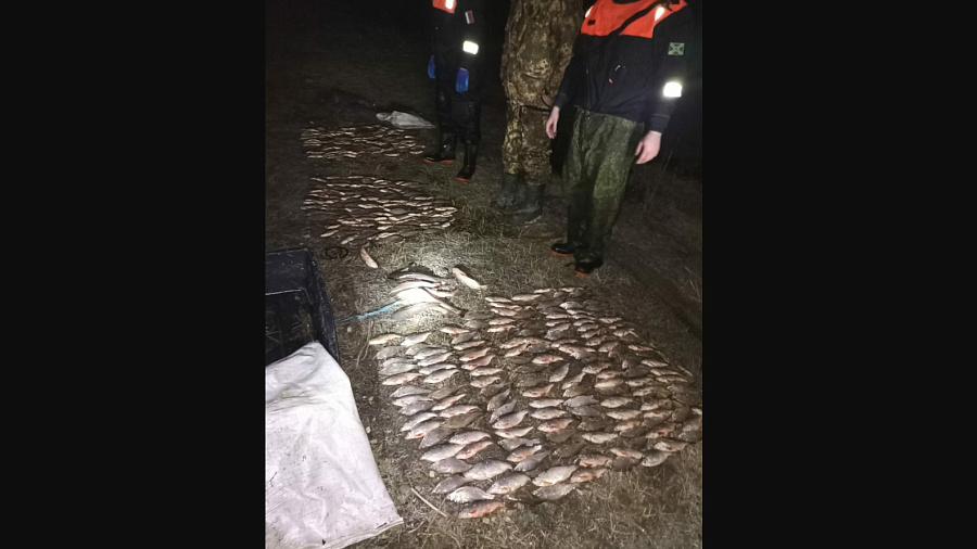 В Краснодарском крае трое браконьеров незаконно выловили рыбу почти на 4,5 млн рублей