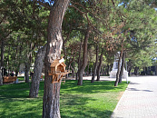 В Геленджике, а также на курортах Кубани 15 ноября установится малооблачная погода с комфортной температурой при умеренном ветре