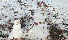 Зима 2025‑2026 принесет неожиданные аномалии России и Краснодарскому краю