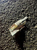 После скандальной драки в Адлере девять участников взяли под стражу