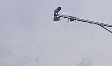 В Краснодаре 262 камеры штрафуют водителей за телефон и непристегнутый ремень