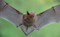 «Роскосмос» назвал наиболее точную причину крушения космического спутника «Луна-25»