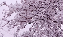 Апшеронский район оказался в каменном веке без света, связи и интернета