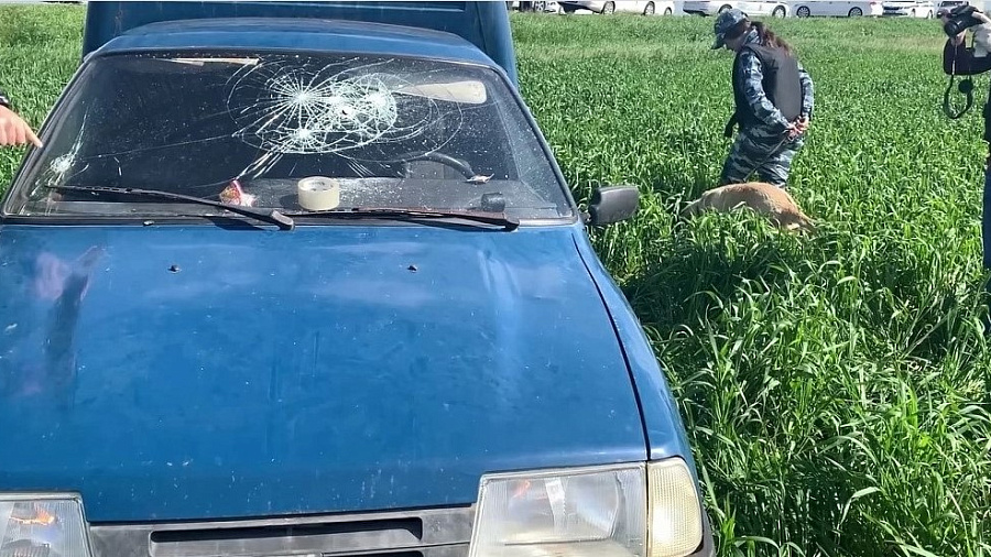 В Краснодарском крае полицейские обстреляли машину нарушителя ПДД