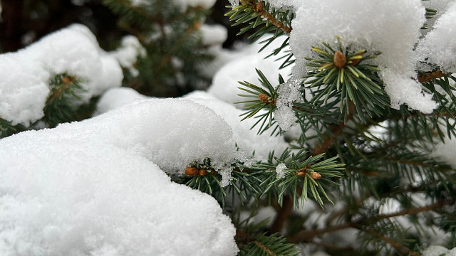 «Температурные качели», гололедица и мокрый снег: в Краснодаре и крае 16 января прогнозируют нестабильную погоду