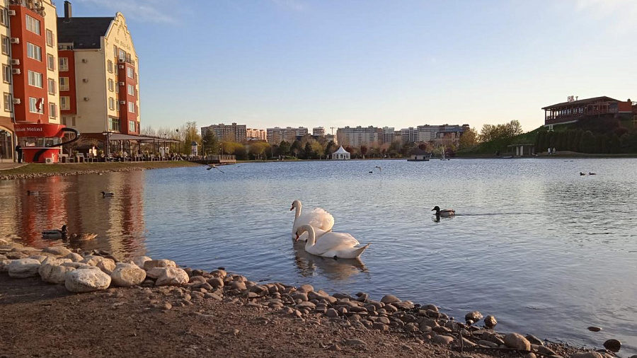 В Краснодаре и крае в конце рабочей недели ожидается неустойчивая погода с кратковременными дождями и «температурными качелями»
