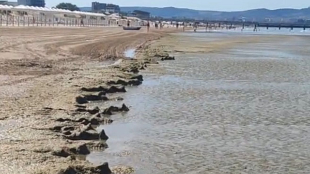 «Крокодилы» из камки и абсолютно пустой пляж: житель Анапы показал обстановку на черноморском побережье 