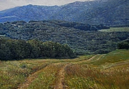 В Краснодаре открылась выставка Василия Полякова «Февральские окна»