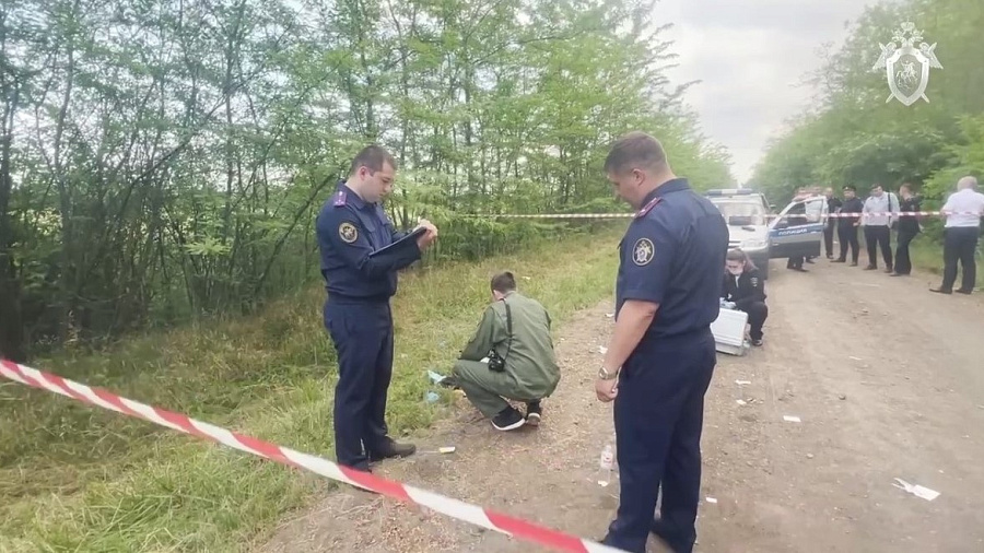 Закладчик убил полицейского при попытке задержания в лесопосадке под Краснодаром