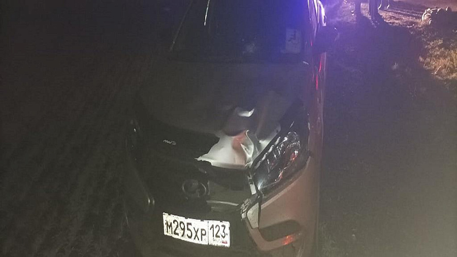 В Краснодарском крае водитель «Лады Гранты» сбил насмерть переходившего трассу мужчину