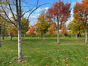 Дождь по заказу: на Кубани запускают технологию искусственных осадков