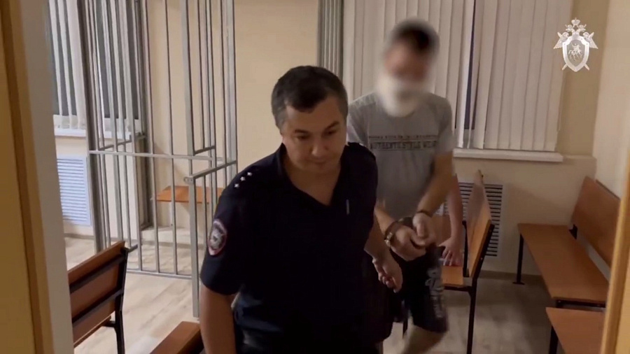 В Краснодарском крае под стражу заключили виновника ДТП, в результате которого погибли мужчина и младенец, ехавшие из роддома